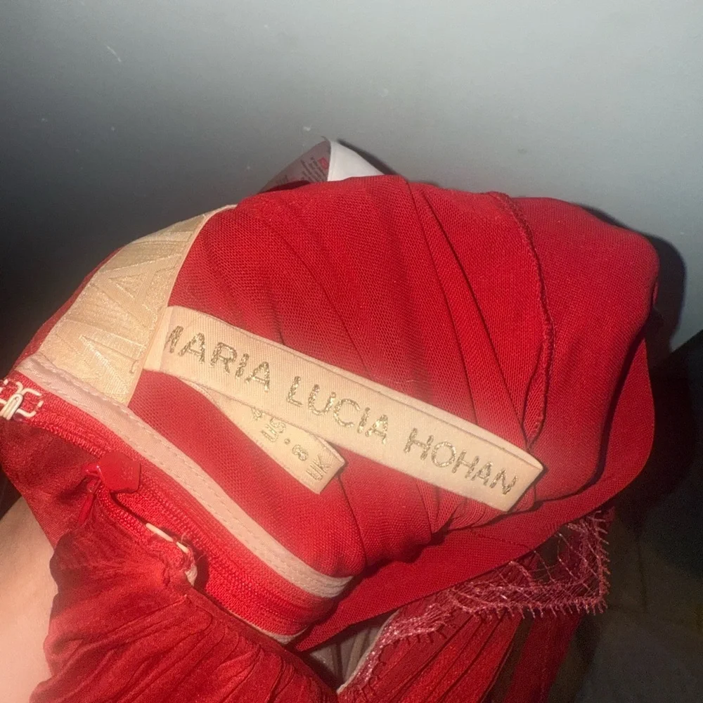 Maria Lucia Hohan 
Jolie Gown in Salsa size 4
Red Strapless Dress - Picture 7 of 16